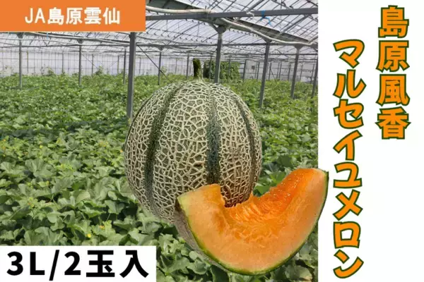長崎県産の「島原風香 マルセイユメロン」がJAタウンのショップ「もぐもぐながさき」に初登場！赤肉の濃厚な甘みと美しいストライプ模様が際立つ自慢の大玉果実を期間限定販売