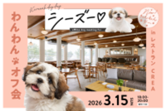 犬種別リアルイベント始動。レストランCREAでシーズー50頭規模の交流会を開催｜2026年3月15日(日)【キラナガーデン豊洲】