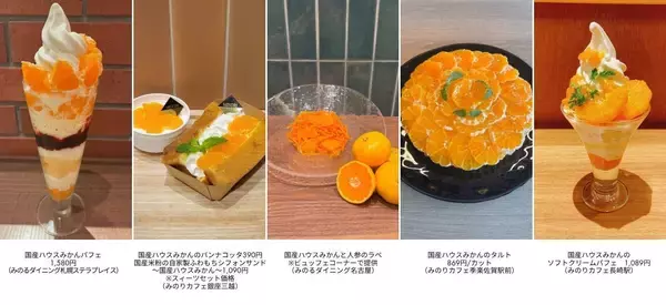 ～１日200gの国産くだものを食べよう！～初夏に旬を迎える濃厚な甘さと爽やかな酸味全農直営飲食店舗で「国産ハウスみかんフェア」を６月１５日（月）～６月２８日（日）まで開催