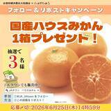 「～１日200gの国産くだものを食べよう！～初夏に旬を迎える濃厚な甘さと爽やかな酸味全農直営飲食店舗で「国産ハウスみかんフェア」を６月１５日（月）～６月２８日（日）まで開催」の画像2