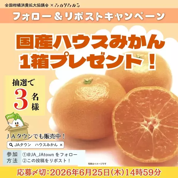 「～１日200gの国産くだものを食べよう！～初夏に旬を迎える濃厚な甘さと爽やかな酸味全農直営飲食店舗で「国産ハウスみかんフェア」を６月１５日（月）～６月２８日（日）まで開催」の画像