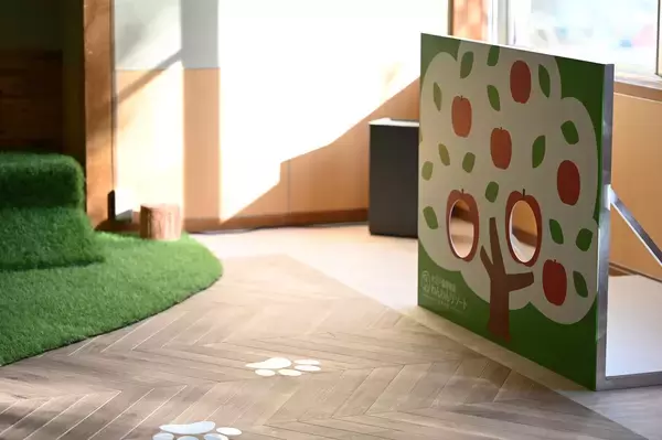 「わんちゃん大喜びの温泉旅行！ 屋外ドッグランなど施設コンテンツが続々追加！ 【大江戸温泉物語 わんわんリゾート 信州上田】」の画像