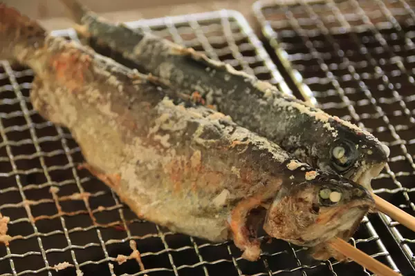 「湖北とサカナを楽しむ3日間「さめがい探検マーケット2026」を醒井養鱒場にて3月20日(金祝)から3月22日(日)まで開催！」の画像