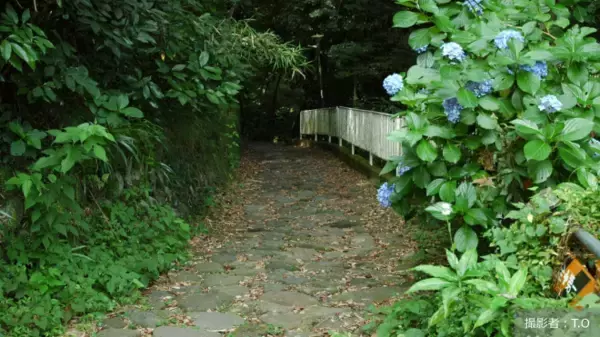 「自動運転の実用化で社会はどう変わる？さまざまな課題解決への期待が高まる先進技術- 社会課題に向き合うメディア「地球の学校」の最新記事をご紹介 -」の画像