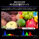「Mini-LED Pro＆Hi-QLED量子ドットと生成AIにより進化した高画質4K液晶テレビ「U8Sシリーズ」を5月下旬に発売」の画像3