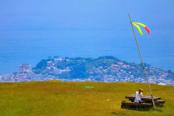 「日帰りで行ける伊豆の絶景ハイキング「細野高原春の散策2026」【4/10(金)～5/6(水)】」の画像