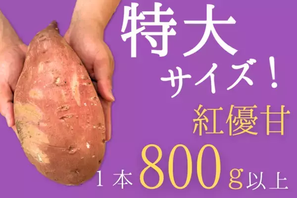 「茨城県「いいものいっぱい広場」ショップの商品 約200点が「お客様送料負担なし」で販売中！」の画像