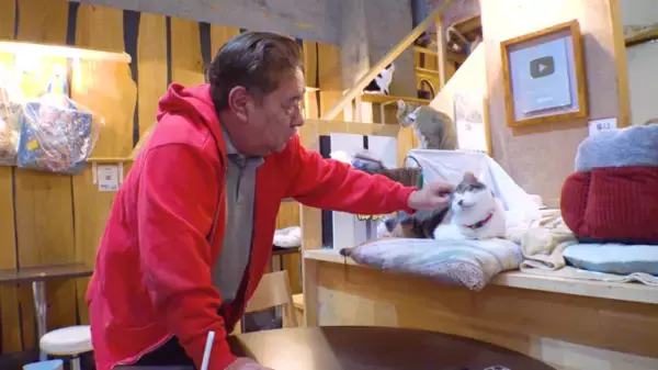 「オードリー春日＆阿佐ヶ谷姉妹も驚きの激変生活！『売上10倍さん　激変生活ビフォーアフター』日テレ系全国28局ネットで2026年1月24日(土)午後3時放送」の画像