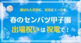 「春のセンバツ甲子園出場校発表を前に――「選ばれた栄誉」を言葉で祝う、出場祝い祝電の新提案」の画像1