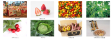 全国トップクラスの園芸産地「愛知県豊橋市」から彩り鮮やかな早春の味覚をお届け！銀座三越みのりみのるマルシェ「豊橋の実り」を２月２１日（土）に開催