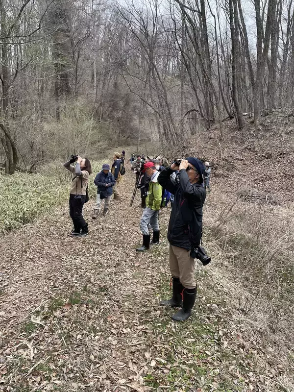 「標高1,500ｍ「天空の花畑」で、(一社)嬬恋村観光協会が『第23回浅間高原シャクナゲ園まつり』を開催（5月8日～）」の画像