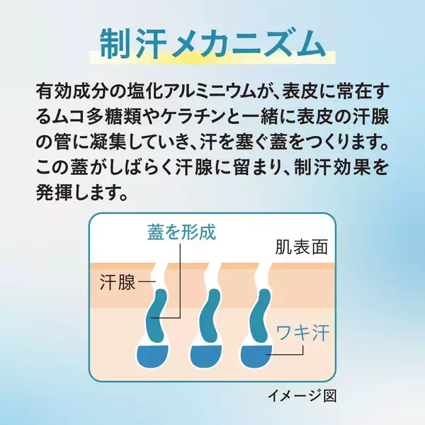 【新発売】待望のロールオンタイプ登場！有効成分塩化アルミニウム配合でワキ汗・ニオイをピタッと元から塞ぐ『薬用制汗剤 アセニフタロールオン』