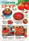 「弾ける新鮮さ！初夏の味わい「トマト」が主役の山口さん家の足柄トマトフェアが6/8より開幕！」の画像1