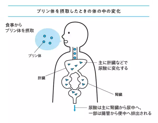 「【登録者数約40万人の医師YouTuber・Dr.パンダが予防医学で解く『毎日の小さな習慣が病気をつくる ヤバい健康負債』2026年7月30日（木）発刊」の画像