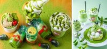 【熱海プリン×丸七製茶】待望のコラボ第5弾！静岡抹茶を愉しみ味わい尽くす『むっちゃ抹茶フェア』を4/11よりスタート！