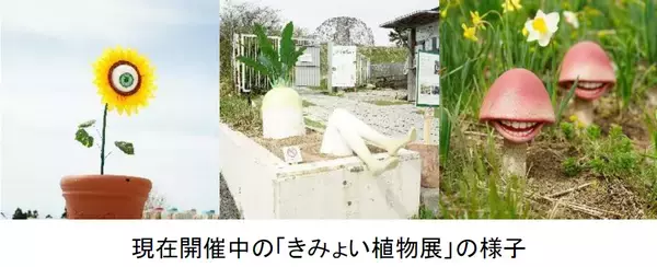 「7月13日（月）六甲山 夏の風物詩「氷室開き」を自然体感展望台 六甲枝垂れで開催！」の画像