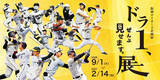 「甲子園歴史館阪神タイガース企画展「ドラ1、ぜんぶ見せます。展」9月1日（火）から開催」の画像1