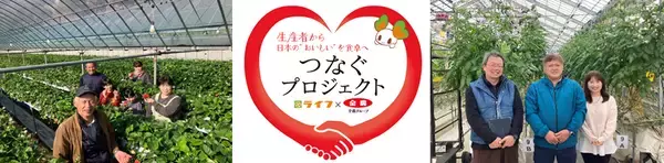 【ライフ首都圏】JA全農グループと共同企画！おいしい国産農産物を食べて生産者を応援する「つなぐプロジェクト」を開催
