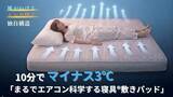 「熱帯夜を乗り切る！風通る独自構造生地が寝汗をとり朝までサラサラ快適敷パット節電・省エネ対策に100年繊維企業が開発」の画像1