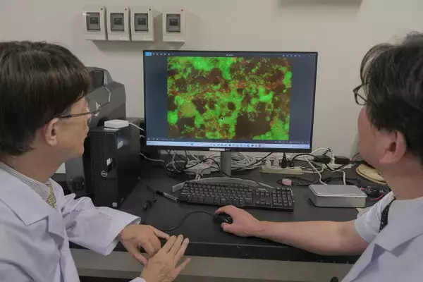 「2月22日は「猫の日」。「猫ひっかき病」をご存じですか？安心して猫と暮らすため「迅速検査キット」開発に山口大学が挑戦」の画像