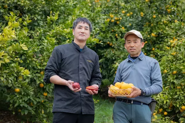 「浜松産レモン×カカオで生まれた“浜松レモンフィナンシェ”新登場！」の画像