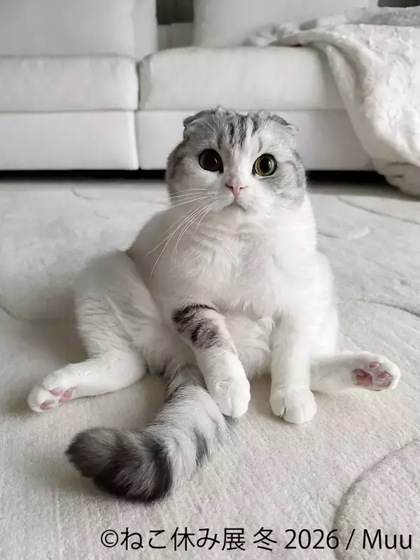 「“猫の日”限定企画も実施♪累計200万人動員の人気イベント『ねこ休み展』1/23～開催　初公開の新作や限定グッズが満載」の画像