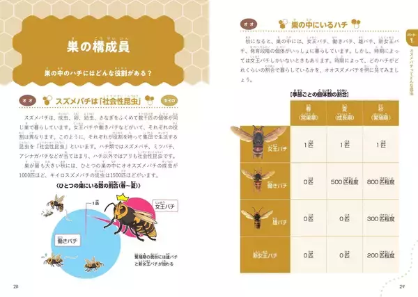 「スズメバチのすべてが分かる『にっぽんのスズメバチ』9月2日発売」の画像
