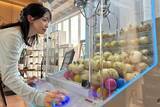 「夏の淡路島西海岸で、最高の思い出を『ドラえもんグッズPOP UP』＆『話題の玉ねぎキャッチャー』CRAFT CIRCUS｜8.1 リニューアルOPEN！！」の画像2
