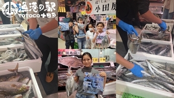 魚のテーマパークで秋の豊漁を楽しむ！30秒でどれだけ詰められる！？「鮮魚の詰め放題」漁港の駅TOTOCO小田原で10月11日・12日・24日・25日に開催！