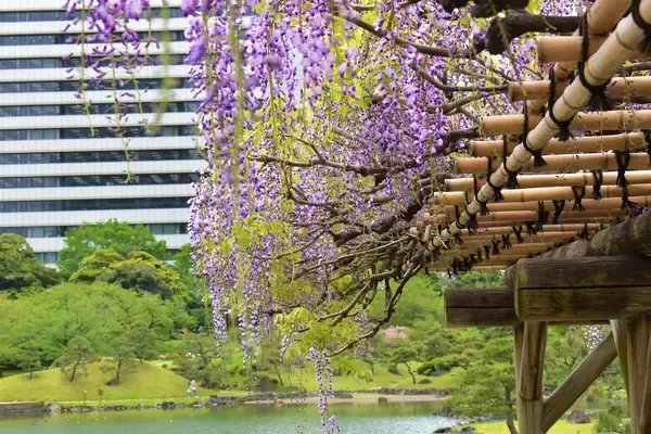「旧芝離宮恩賜庭園　春らんまん～オリジナル手ぬぐい「庭園之景」、4月1日（水）発売開始～」の画像