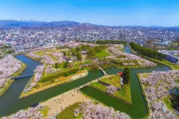 成田=函館、名古屋=新千歳線を4月23日に同時開設、本日販売を開始