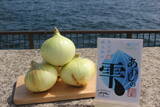 「「淡路島の新玉ねぎ」の通販が解禁！毎年即完売の人気商品が道の駅あわじ公式通販サイトにて5月7日10時より販売開始」の画像1