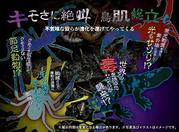 「世界の“キモい生き物”が東京ソラマチに帰ってきた！『キモい展2026』7月5日(日)まで好評開催中！！」の画像