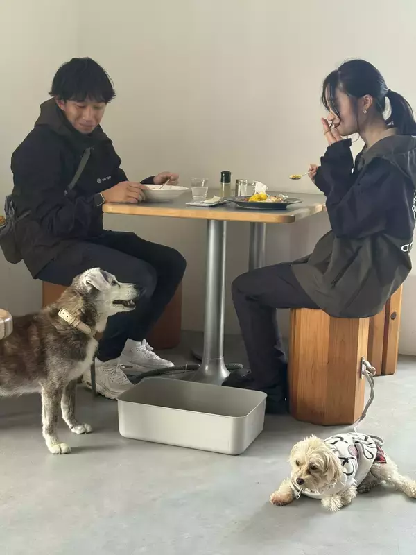 「愛犬と旅する電動バイク「Doggie」来春発売モデルを三重・VISONで先行レンタル」の画像