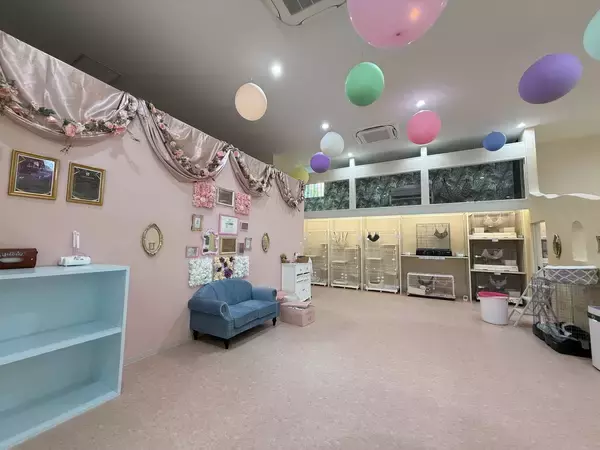 「全国でも珍しい希少動物とふれあえる「シャンパンハウス」が豊川市でオープン」の画像