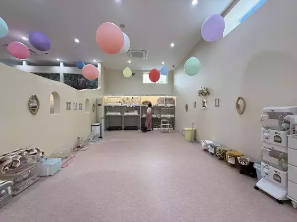 「全国でも珍しい希少動物とふれあえる「シャンパンハウス」が豊川市でオープン」の画像