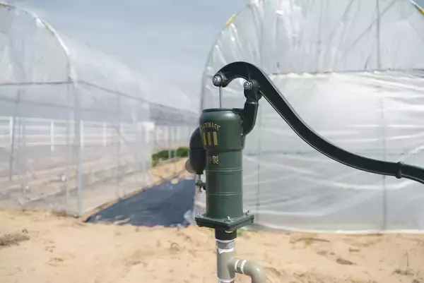 「耕作放棄地を観光資源に変える、地方発の新ビジネスモデル「出雲ハーブ苑 神々の庭」2026年4月12日(日)グランドオープン」の画像