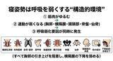 「眠りづらさの正体──世界で初めて、寝姿勢が呼吸を弱くする"構造的理由"を体系的に解析した研究　シリーズ第14回（呼吸構造の圧迫と呼吸弱化の因果線）」の画像1