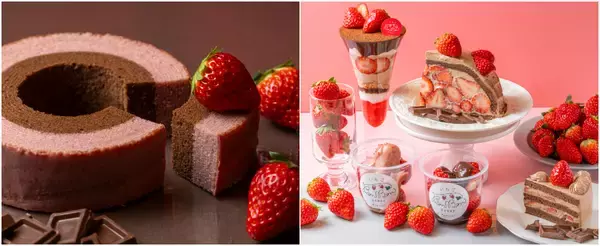 ＜いちご専門店の道の駅 いちごBonBonBERRY＞累計7万個突破！「いちごのバウムクーヘン」にショコラの味わいが2/1より新登場！「静岡県産いちごととろけるショコラフェア」も同時開催中