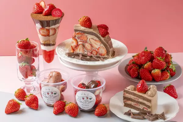 「＜いちご専門店の道の駅 いちごBonBonBERRY＞累計7万個突破！「いちごのバウムクーヘン」にショコラの味わいが2/1より新登場！「静岡県産いちごととろけるショコラフェア」も同時開催中」の画像