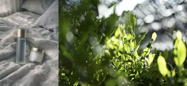 江戸時代より続く京都・宇治の茶農家が仕掛ける新しいライフスタイル