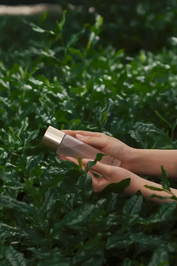 「江戸時代より続く京都・宇治の茶農家が仕掛ける新しいライフスタイル」の画像