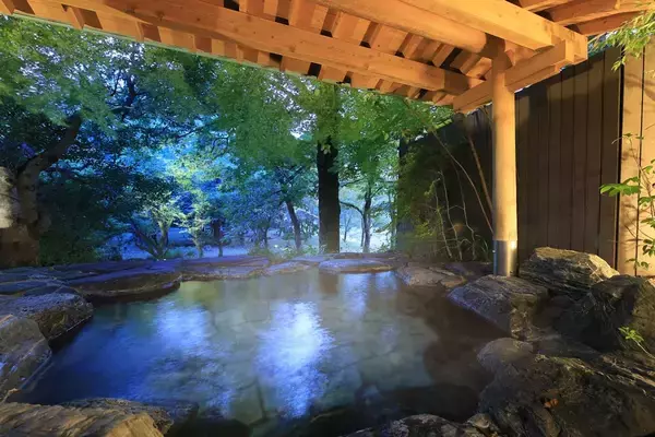 「【星空サウナオープン！】佐賀・古湯温泉の大人の癒し宿でぬる湯とフィンランドサウナを堪能｜2026年1月～」の画像