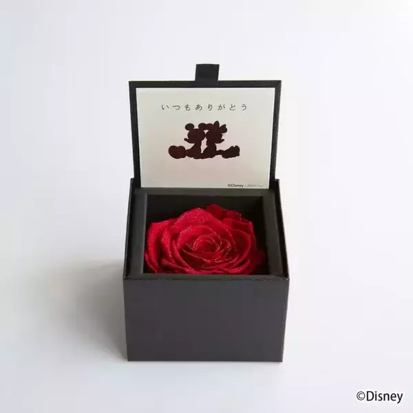「2026 母の日ギフト特集ページ　ディズニー公式ライセンスの薔薇ギフトなどを展開」の画像