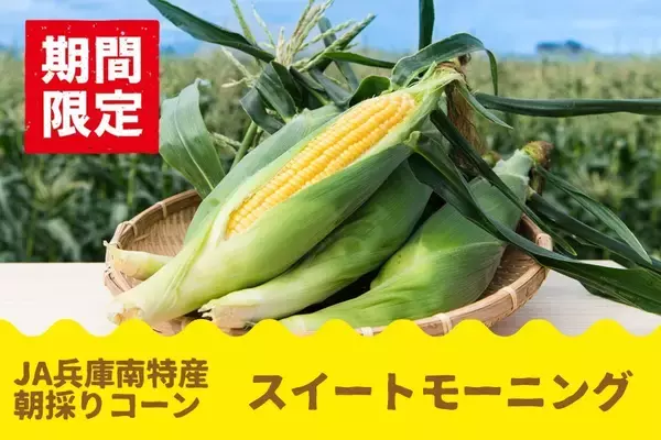 甘さがぎゅぎゅっと！　毎年大好評の兵庫県産「スイートモーニング」予約開始新たに２Ｌサイズ登場、対象商品早割１０％ＯＦＦも!