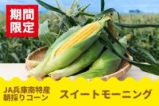 甘さがぎゅぎゅっと！　毎年大好評の兵庫県産「スイートモーニング」予約開始新たに２Ｌサイズ登場、対象商品早割１０％ＯＦＦも!