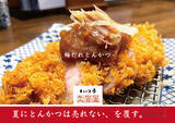 「累計25万食×昨夏1,000食　“夏にとんかつは売れない”を覆す、二つの答え――「冷やしかつ丼」と「特製梅だれとんかつ定食」」の画像3