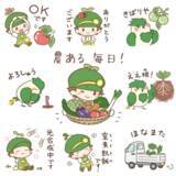 「今からでも間に合う家庭菜園、初心者にオススメの野菜はこれ！デジタルでも「自産自消」を楽しもう」の画像2
