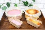 「大阪・樟葉発！卵・小麦アレルギー対応グルテンフリーチーズケーキがクラウドファンディングで始動」の画像3