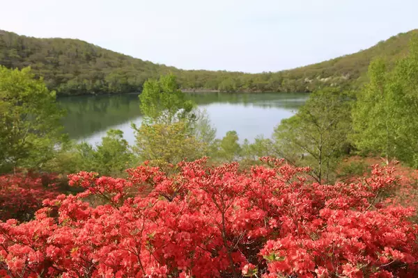 「【群馬県】赤城山山頂エリアがさらに魅力的に！「スノーピーク赤城キャンプフィールド」が4月25日（土）にオープン！」の画像